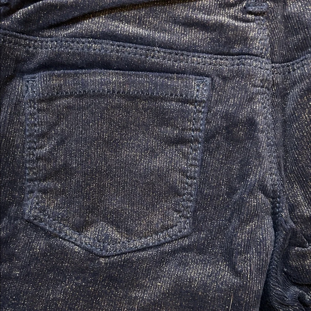Gymboree chic navy